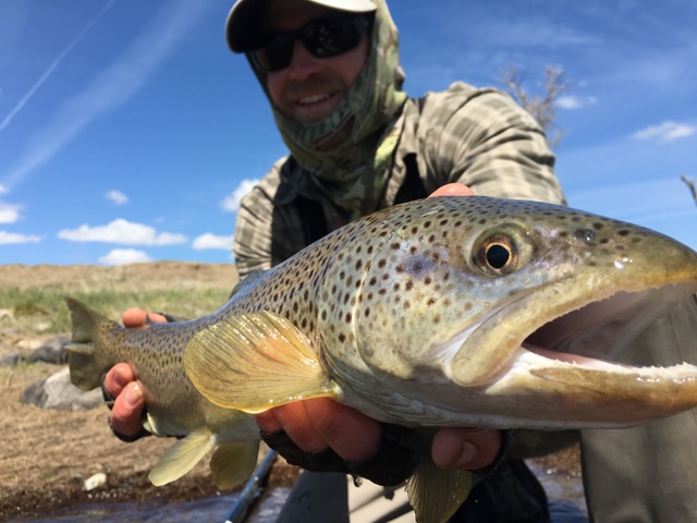 Guided Fly Fishing in Montana