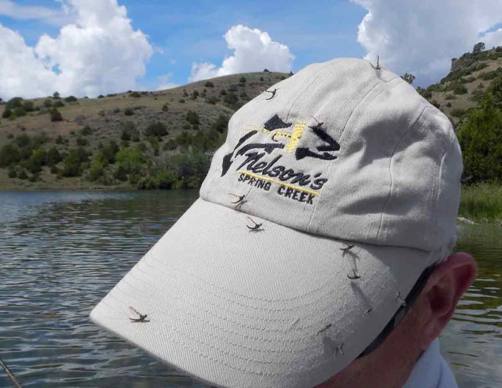 A Nelson's Guides and Flies cap covered in insects while stillwater fly fishing.