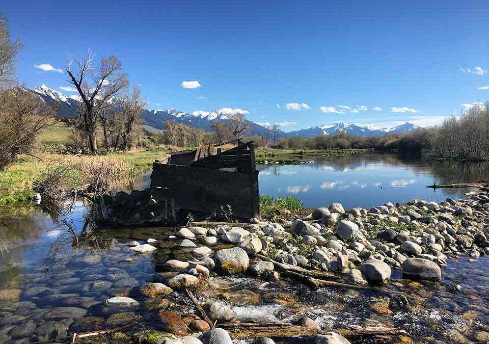 Fishing Montana’s spring creeks with Emily Strawser