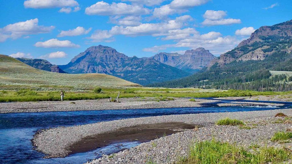 fly fishing in yellowstone national park with Nelson's Guides and Flies